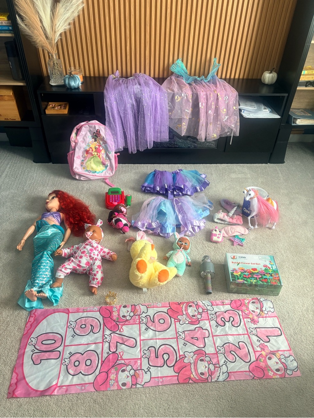 Toddler Girl Toy lot